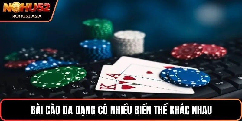 Bài cào đa dạng có nhiều biến thể khác nhau