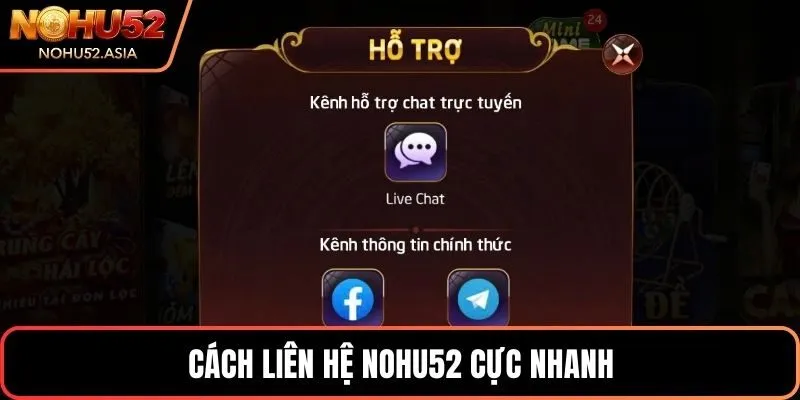 Cách liên hệ NOHU52 cực nhanh Cách liên hệ NOHU52 cực nhanh