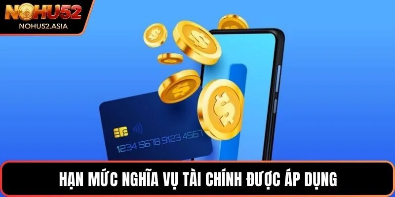Hạn mức nghĩa vụ tài chính được áp dụng Hạn mức nghĩa vụ tài chính được áp dụng
